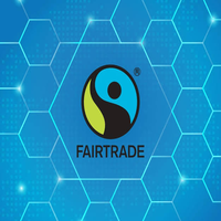 Fair Trade Social Audit logo