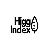 Higg FEM logo